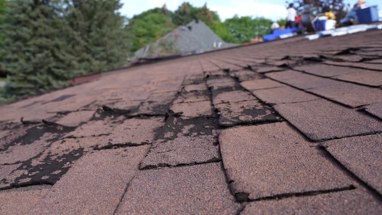 Reliable North Apollo, PA Roofing Service Solutions