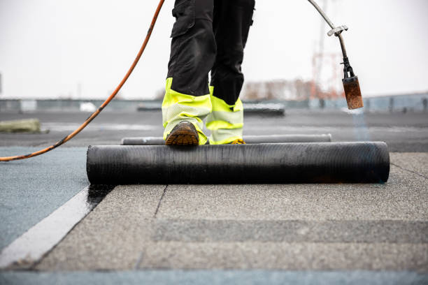 Best Roof Moss and Algae Removal  in North Apollo, PA
